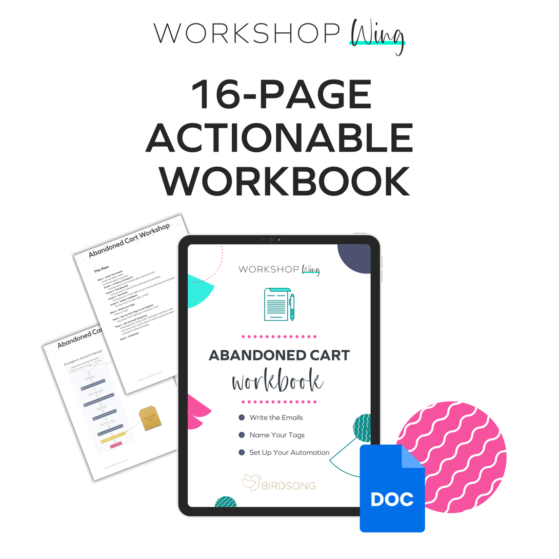 Abandoned Cart Email Sequence Workshop Workbook